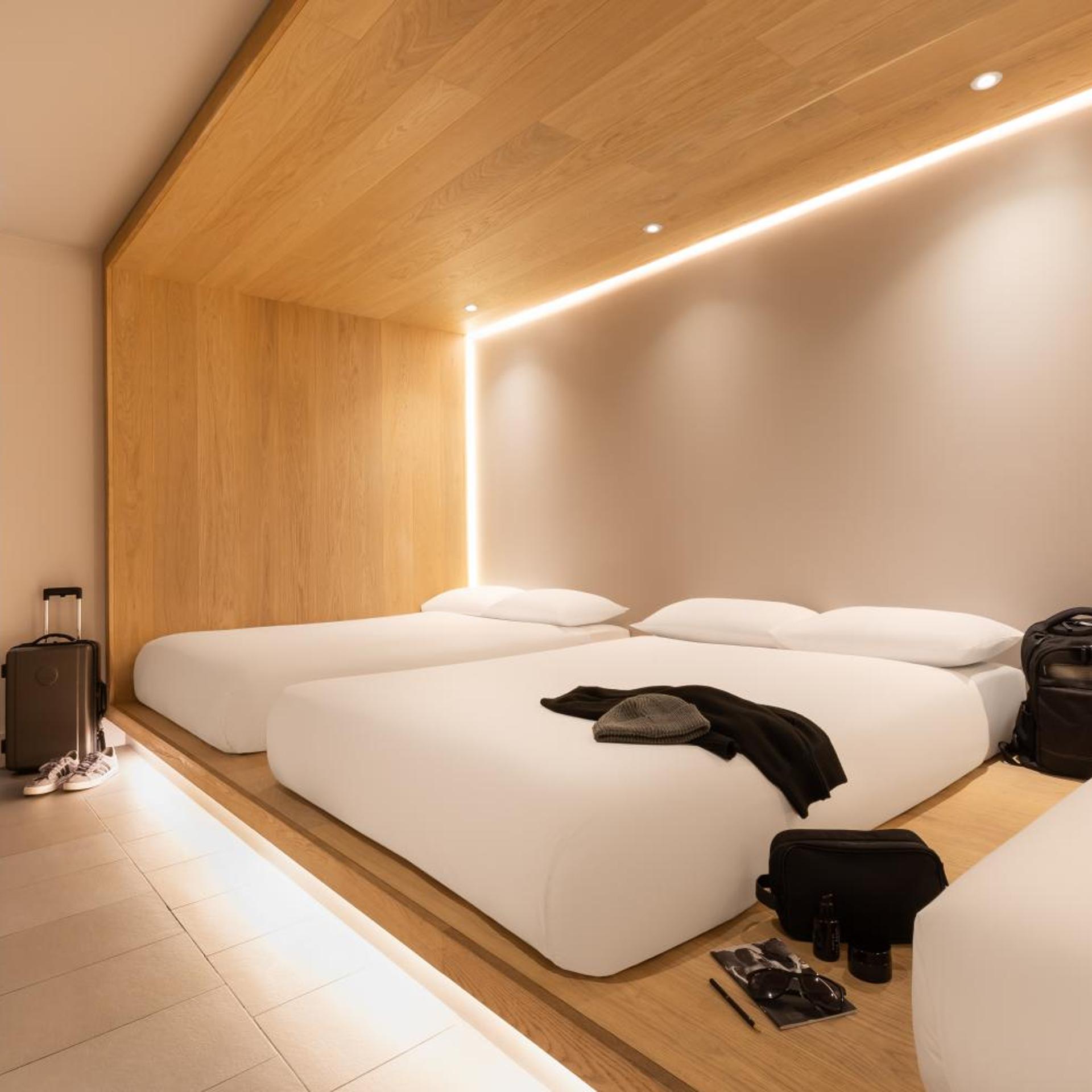 Cocoon 6