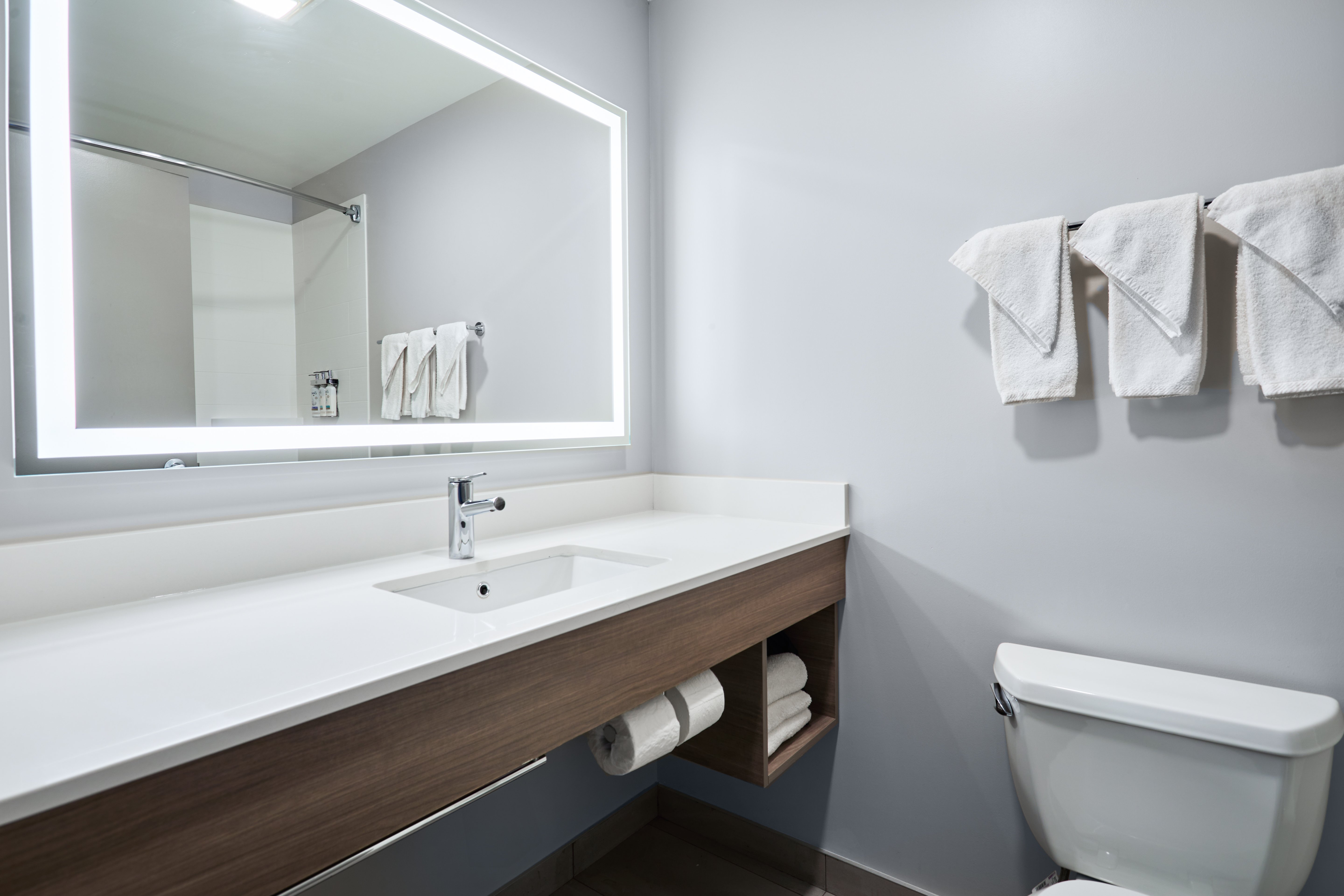 Holiday Inn Express Hotel Suites Swift Current 73/74