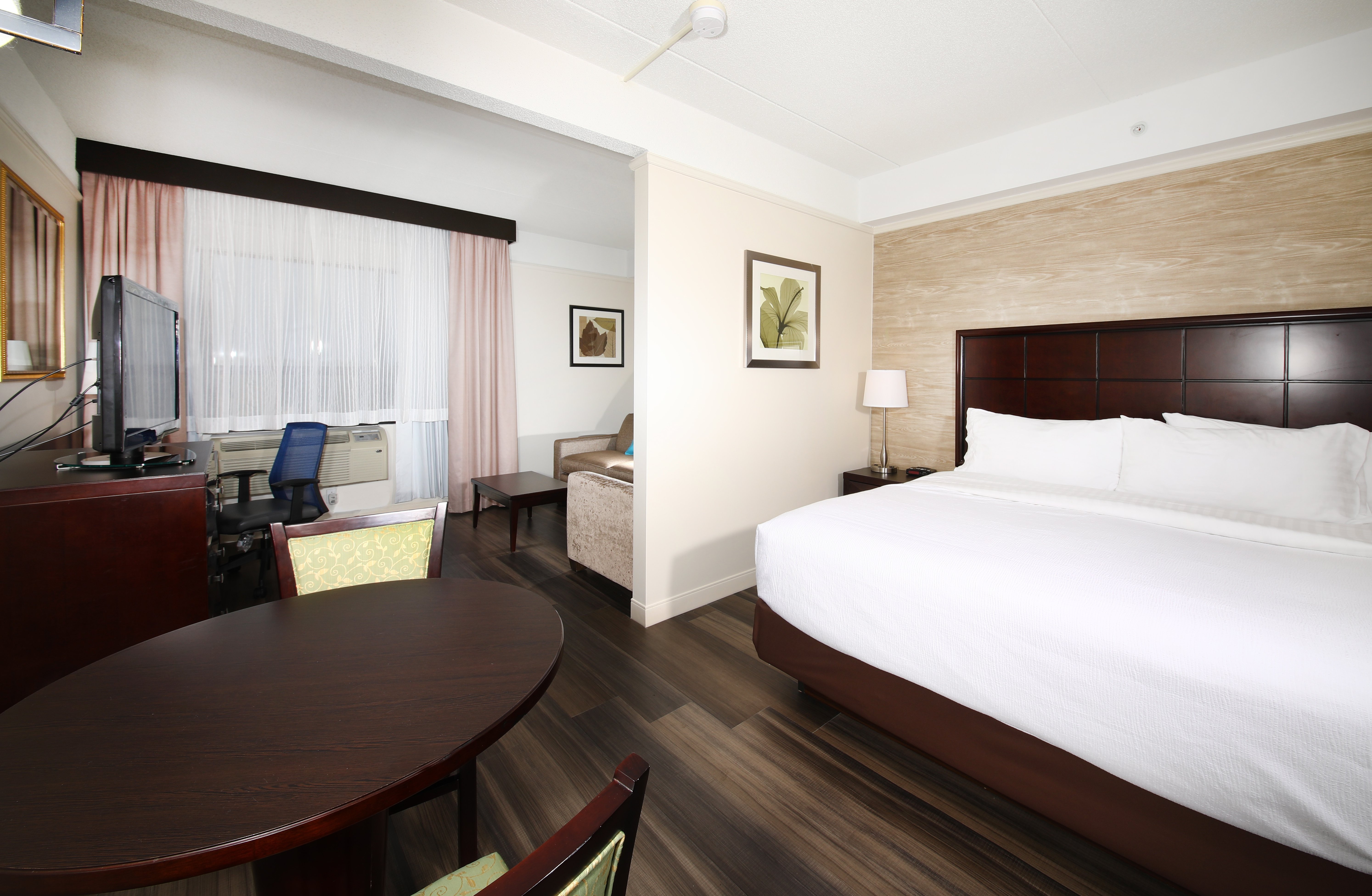 Holiday Inn Suites Windsor Ambassador Bridge 26/72