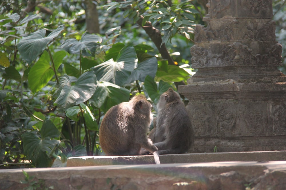 Umaya Ubud Villa 16/46