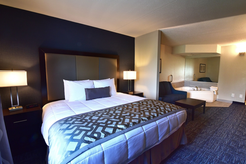 Best Western Plus Flint Airport Inn & Suites 13/38