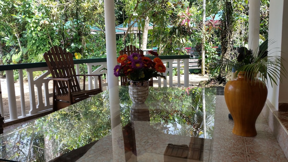 Rainforest Lodge 27/50