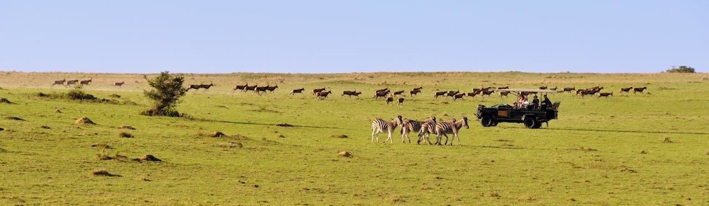 Kwantu Game Reserve 32/43