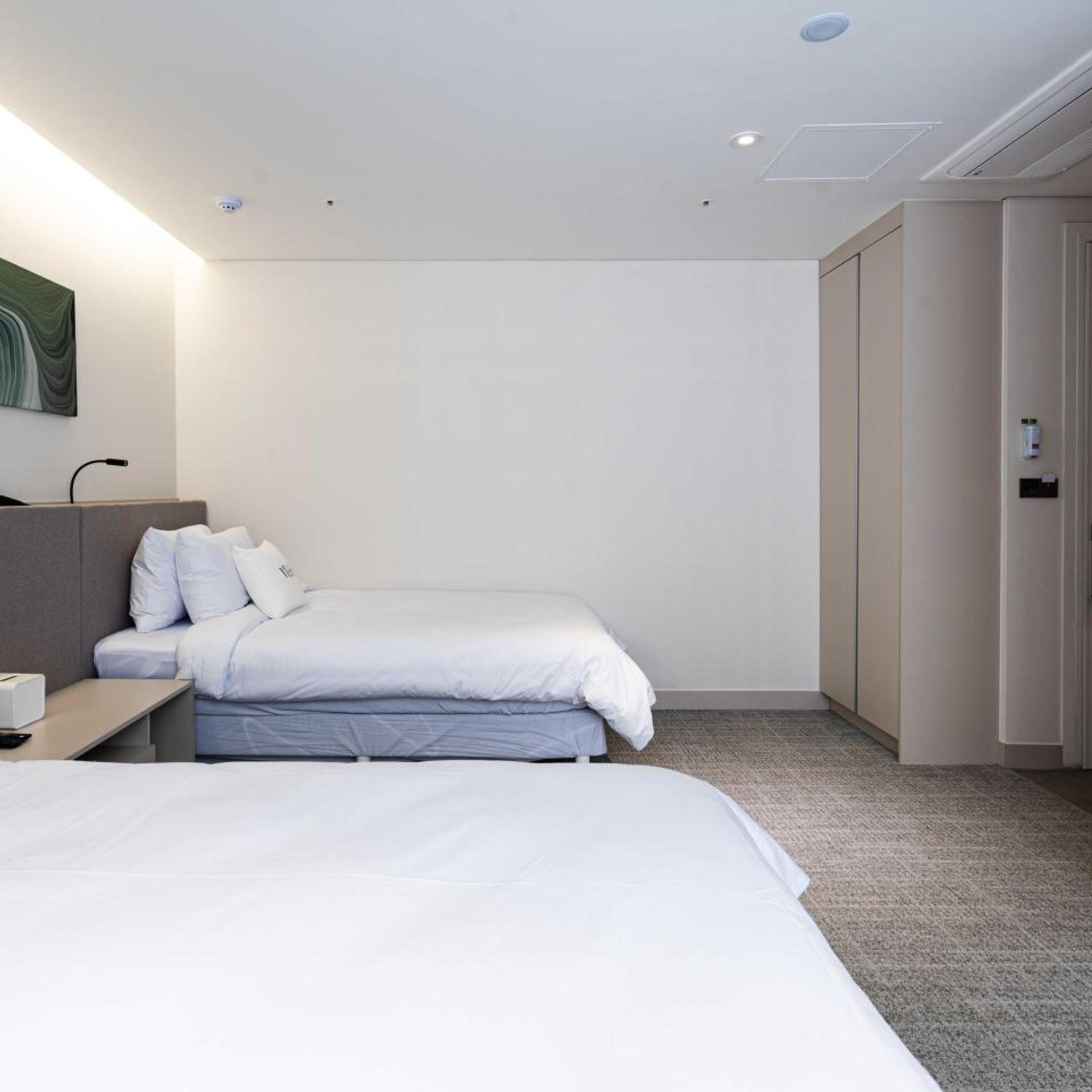 Hotel Vert 10/43