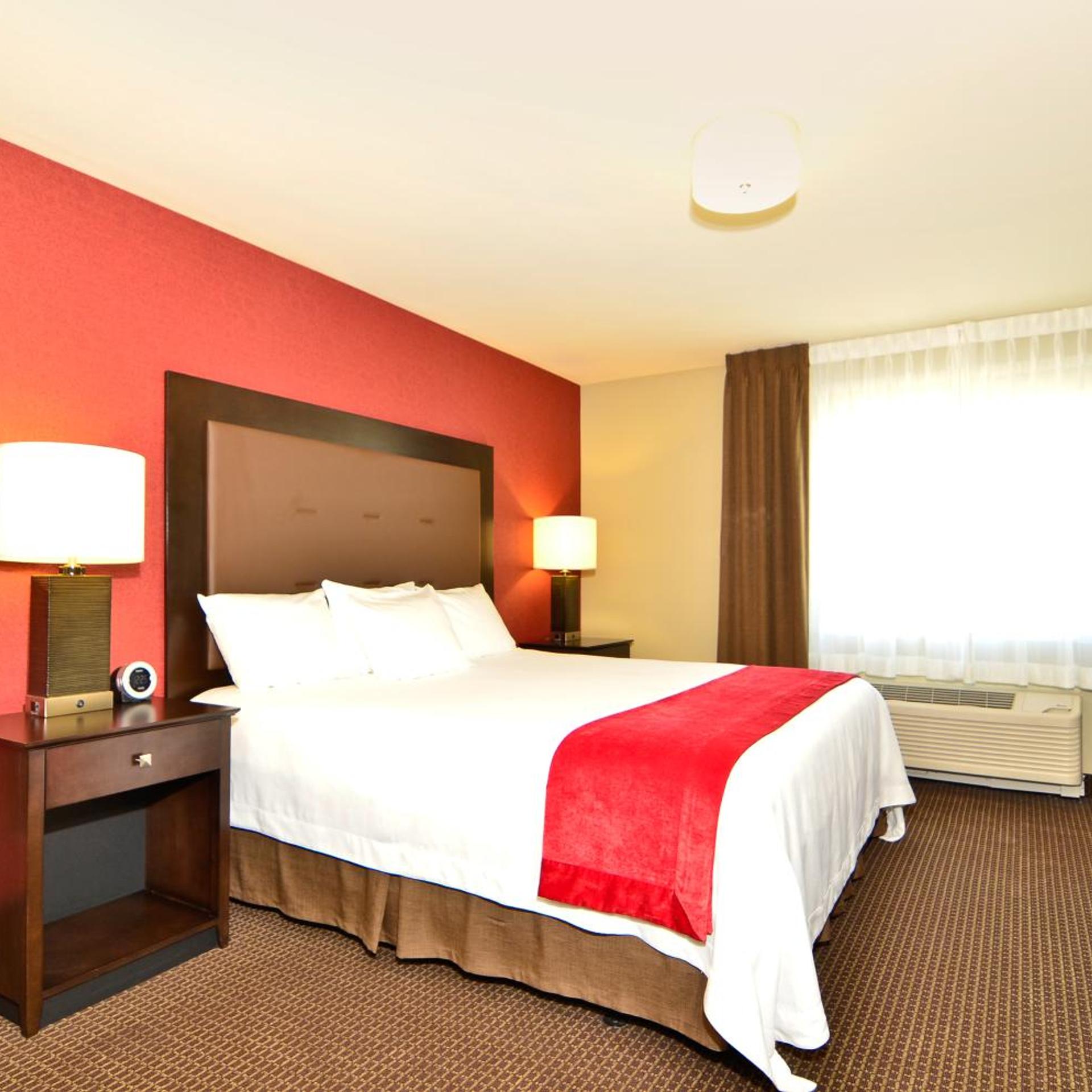 Suite, King Bed
