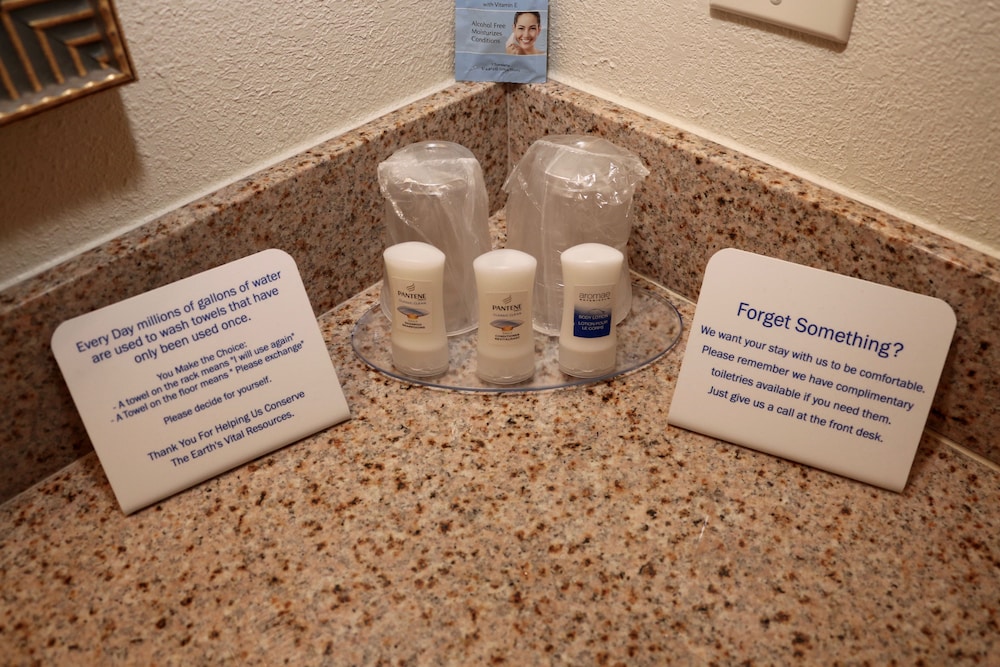 Best Western Plus Omaha Airport Inn 13/41
