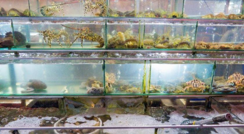 Gold Beach Hotel 66/93