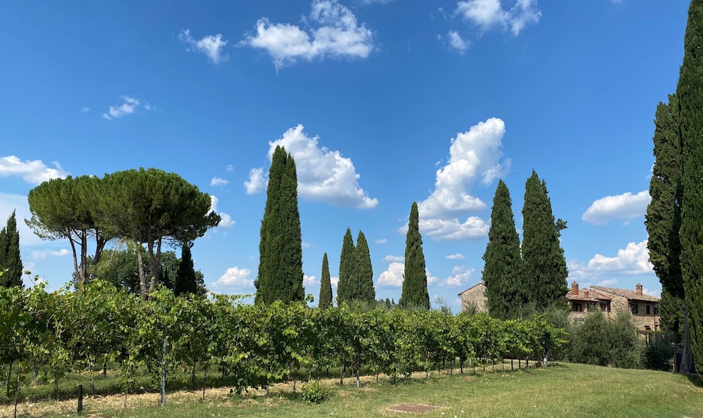 Tenuta Sovestro 37/50