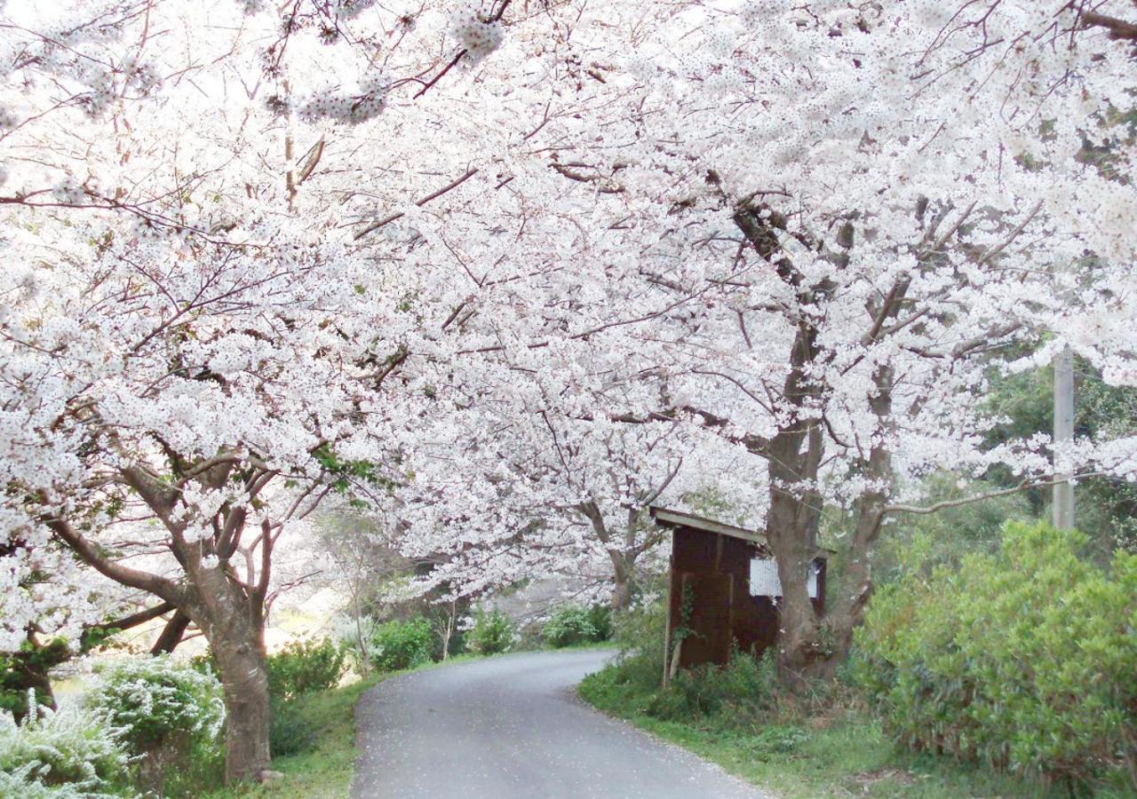 Nishiizu Matsuzaki Itoen Hotel 36/38