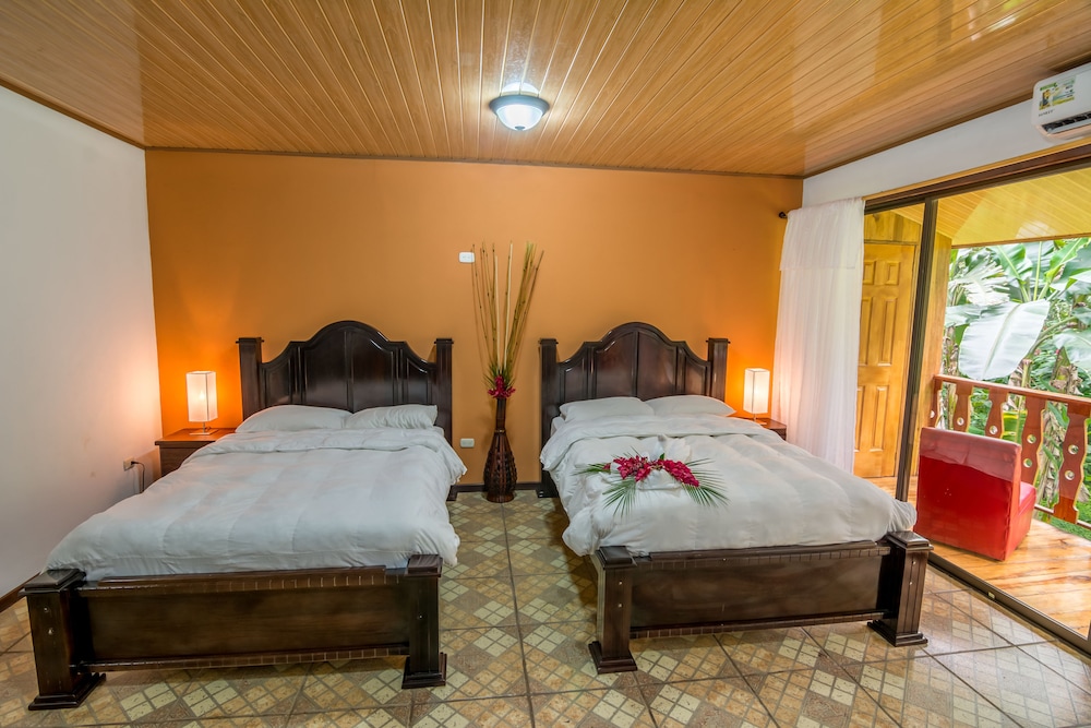 Ara Ambigua Lodge 4/50