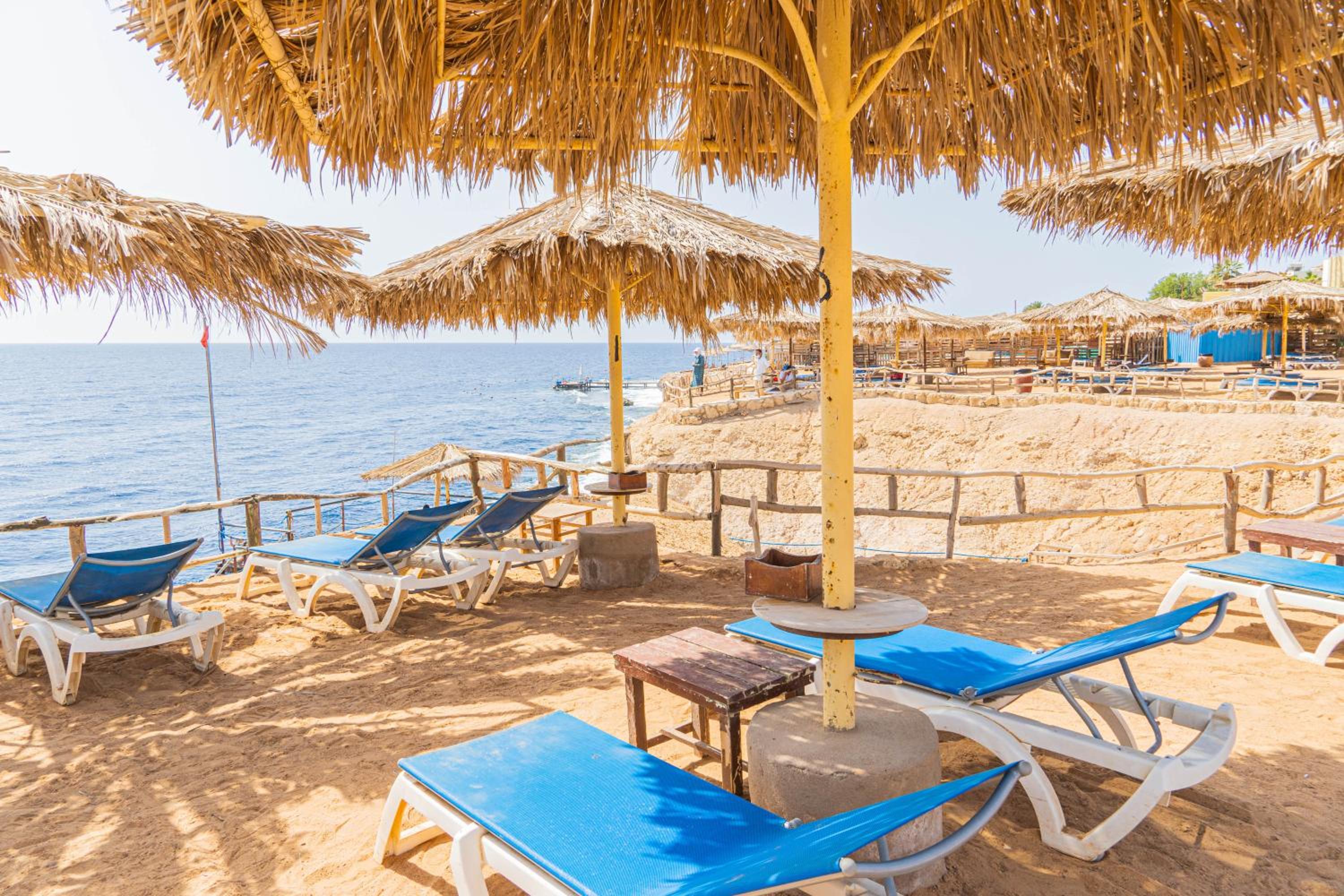 Sharm Reef Resort 33/55