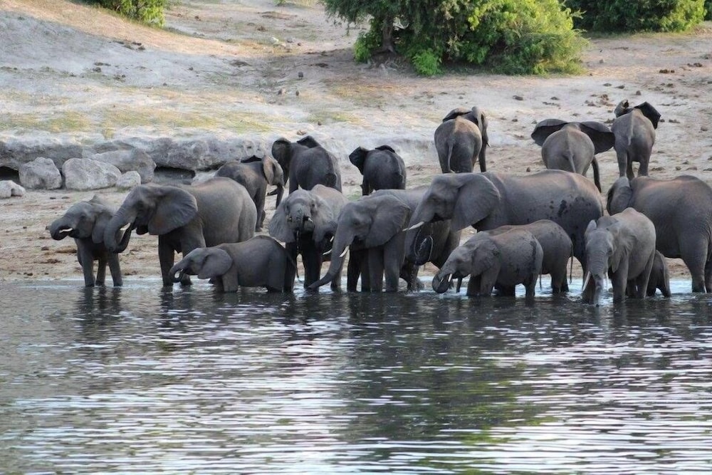 Khwai Tented Camp 27/50