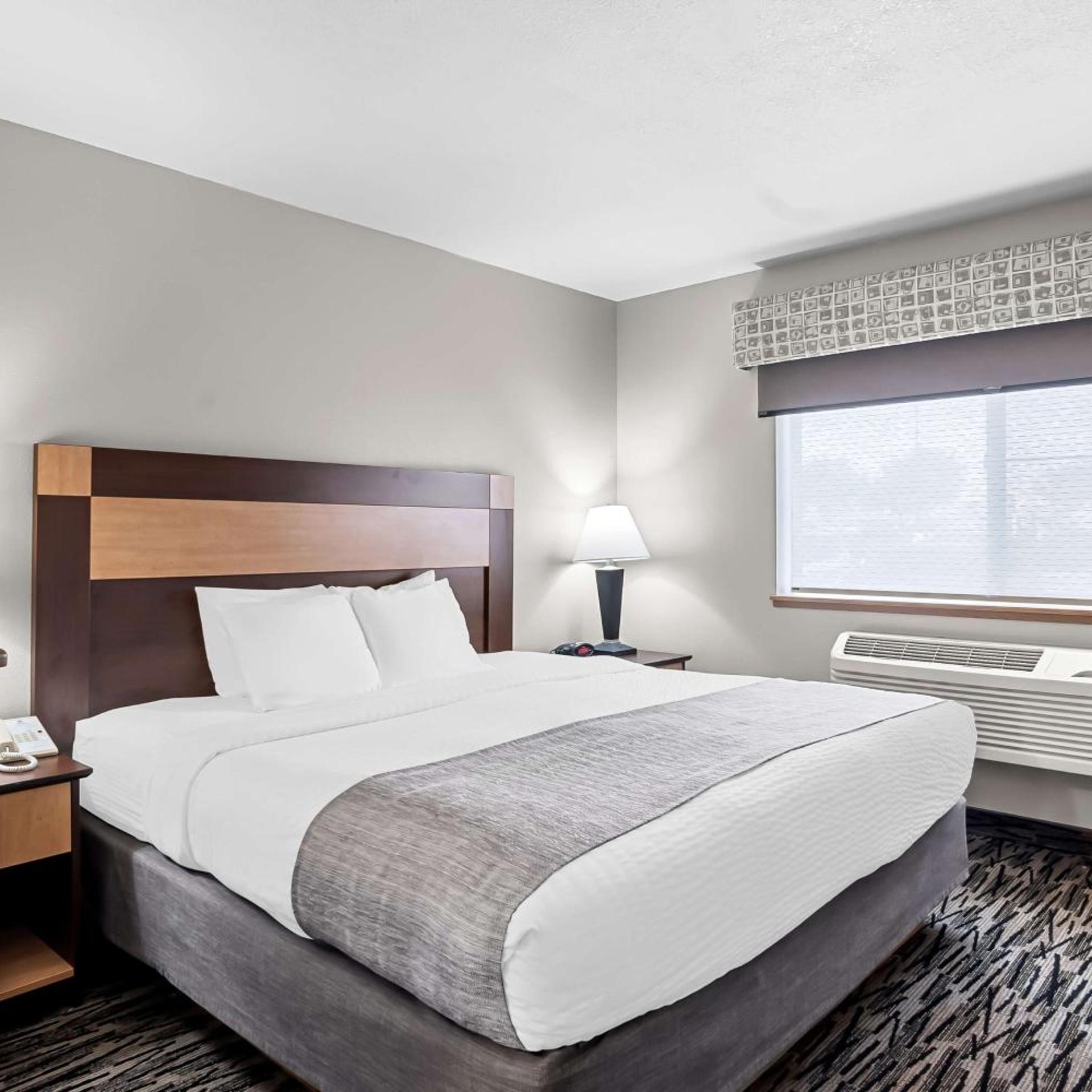 Deluxe, King Bed