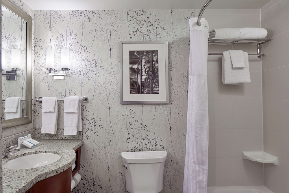 Hilton Garden Inn Atlanta Midtown 12/49