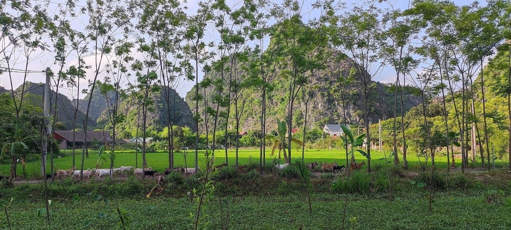 Trang An Retreat 51/70
