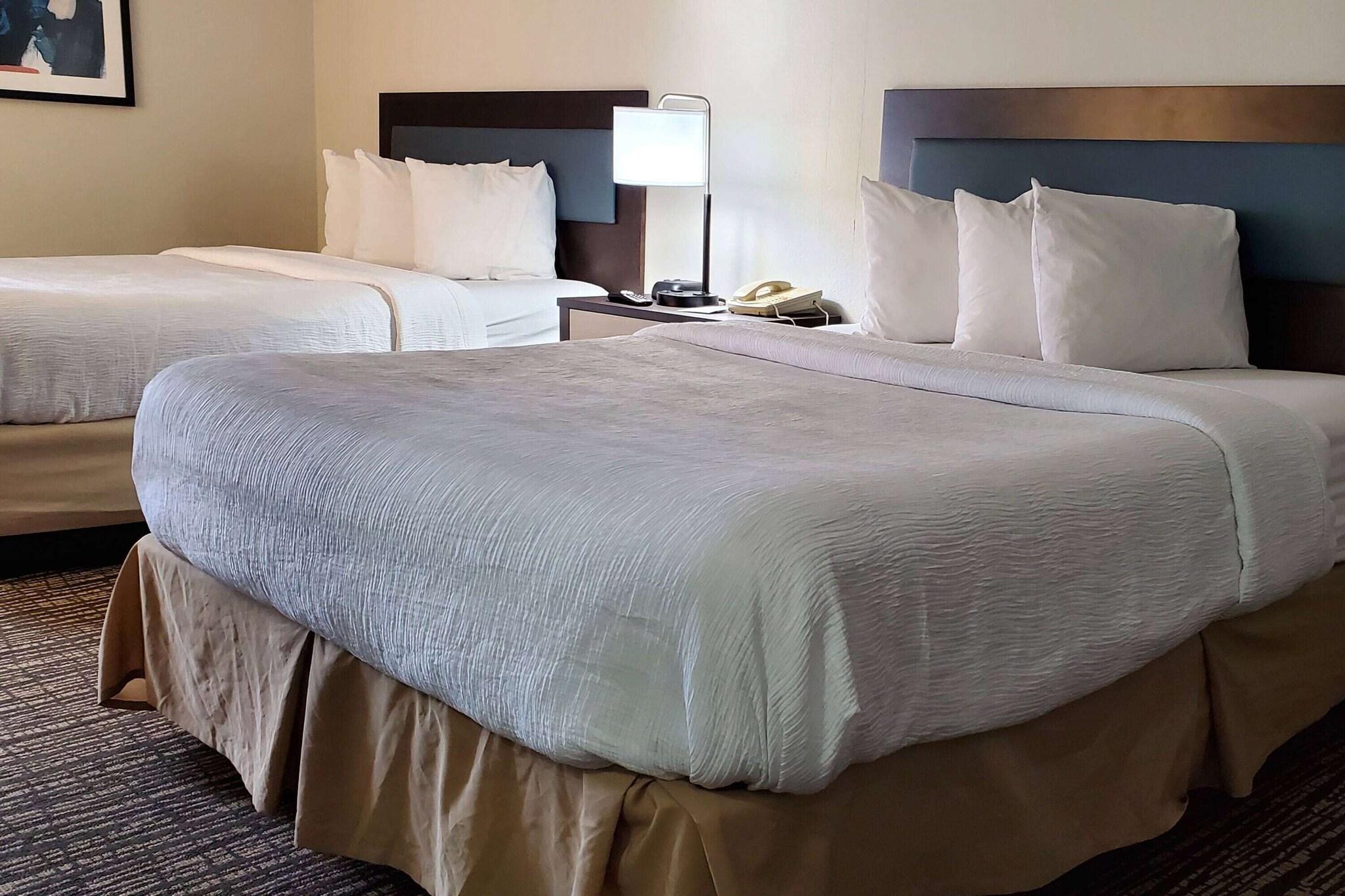 Executive, Suite, King Bed