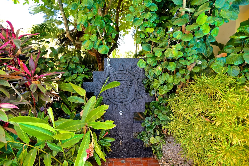 Villa Del Sueño 37/50
