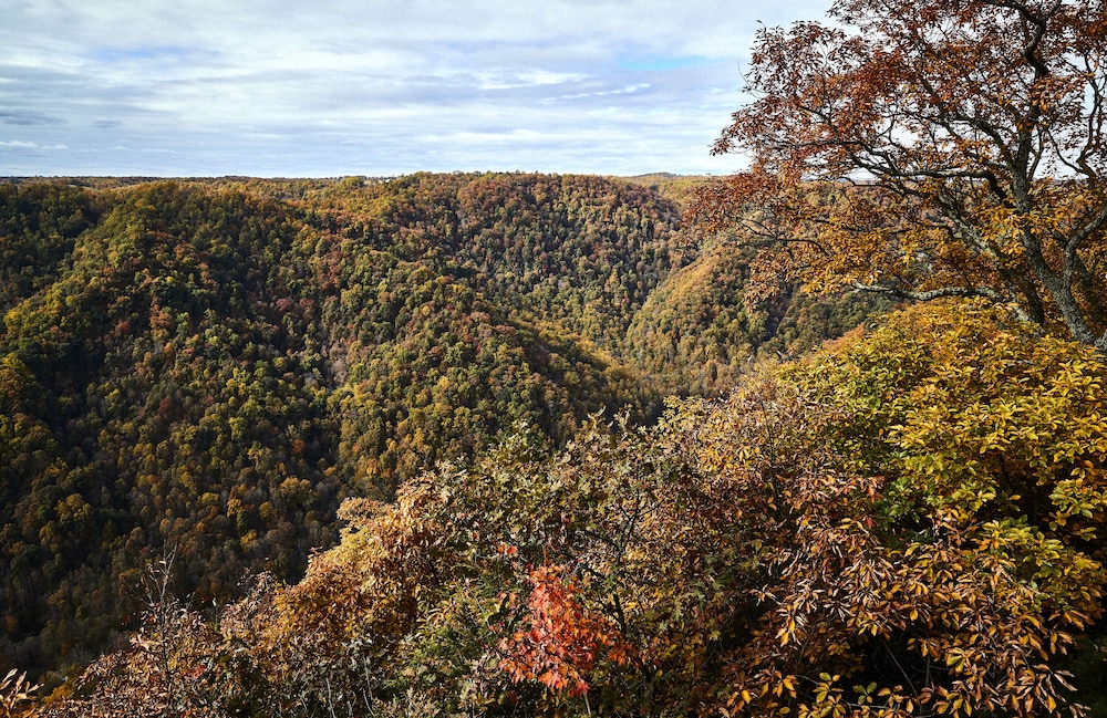 Primland 41/50