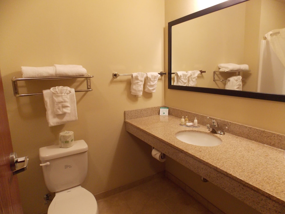 Cobblestone Hotel Amp Suites Crookston 22/39