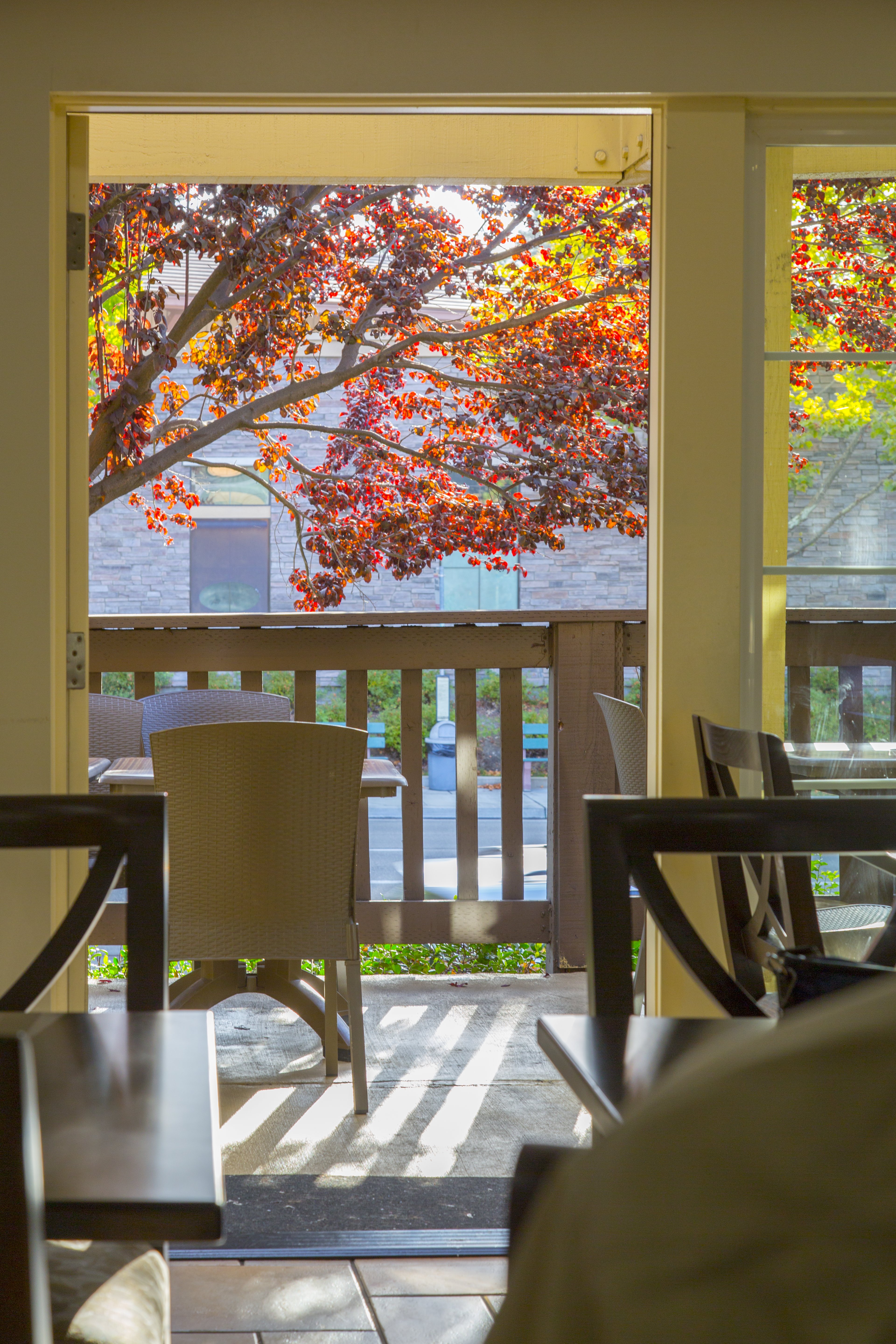 Best Western Danville Sycamore Inn 14/19
