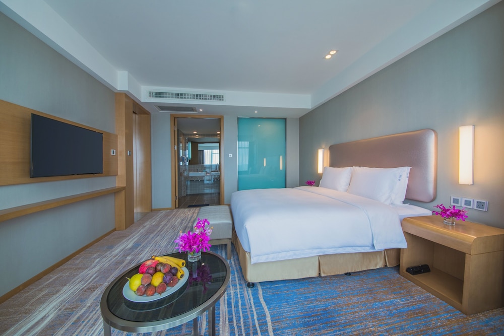 HOLIDAY INN EXPRESS GUIAN YUNGU 19/48