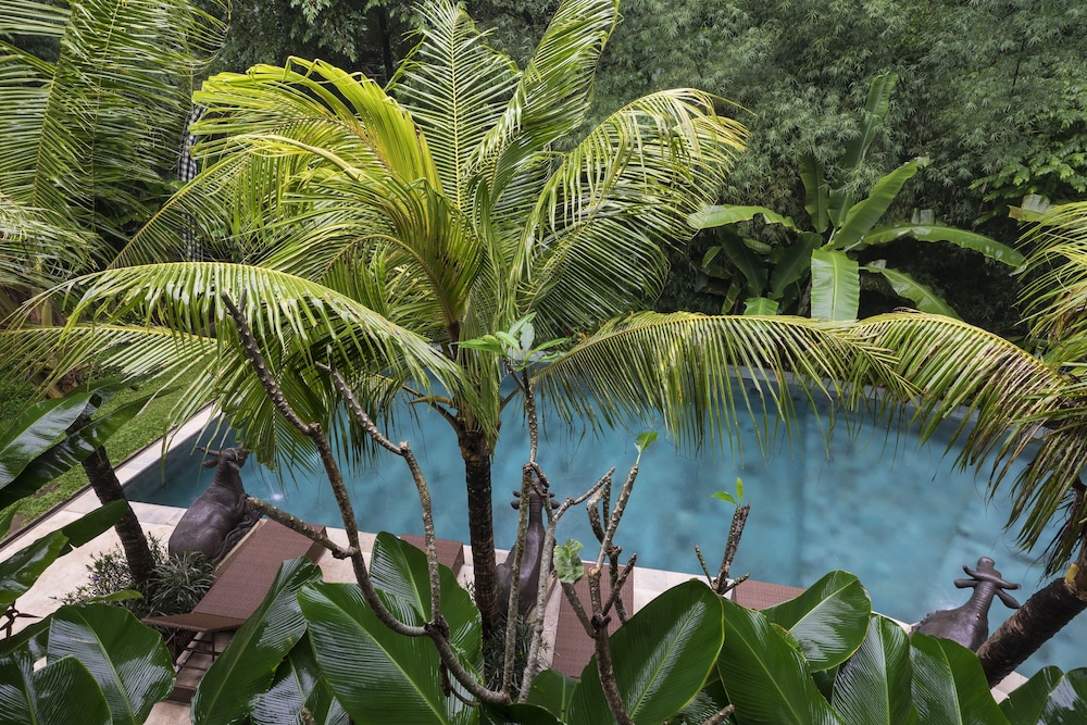 Jungle Haven Resort Central Ubud 66/74