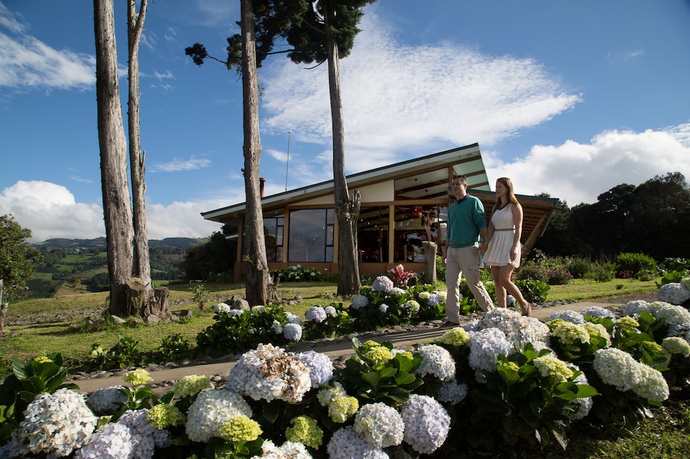 Chayote Lodge 33/50