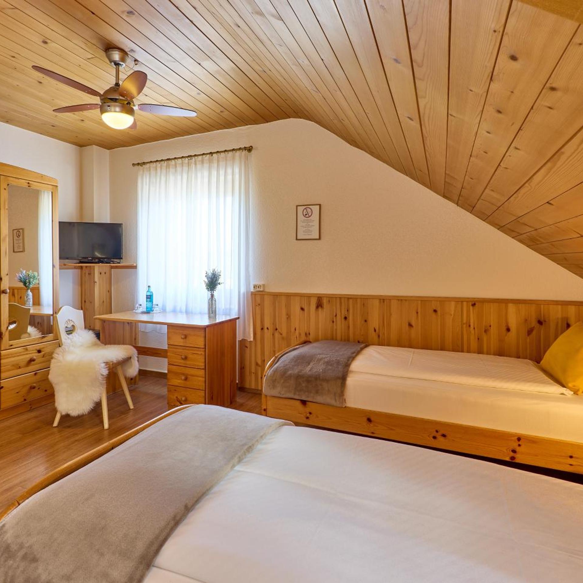 Airport-Hotel Fortuna 39/58