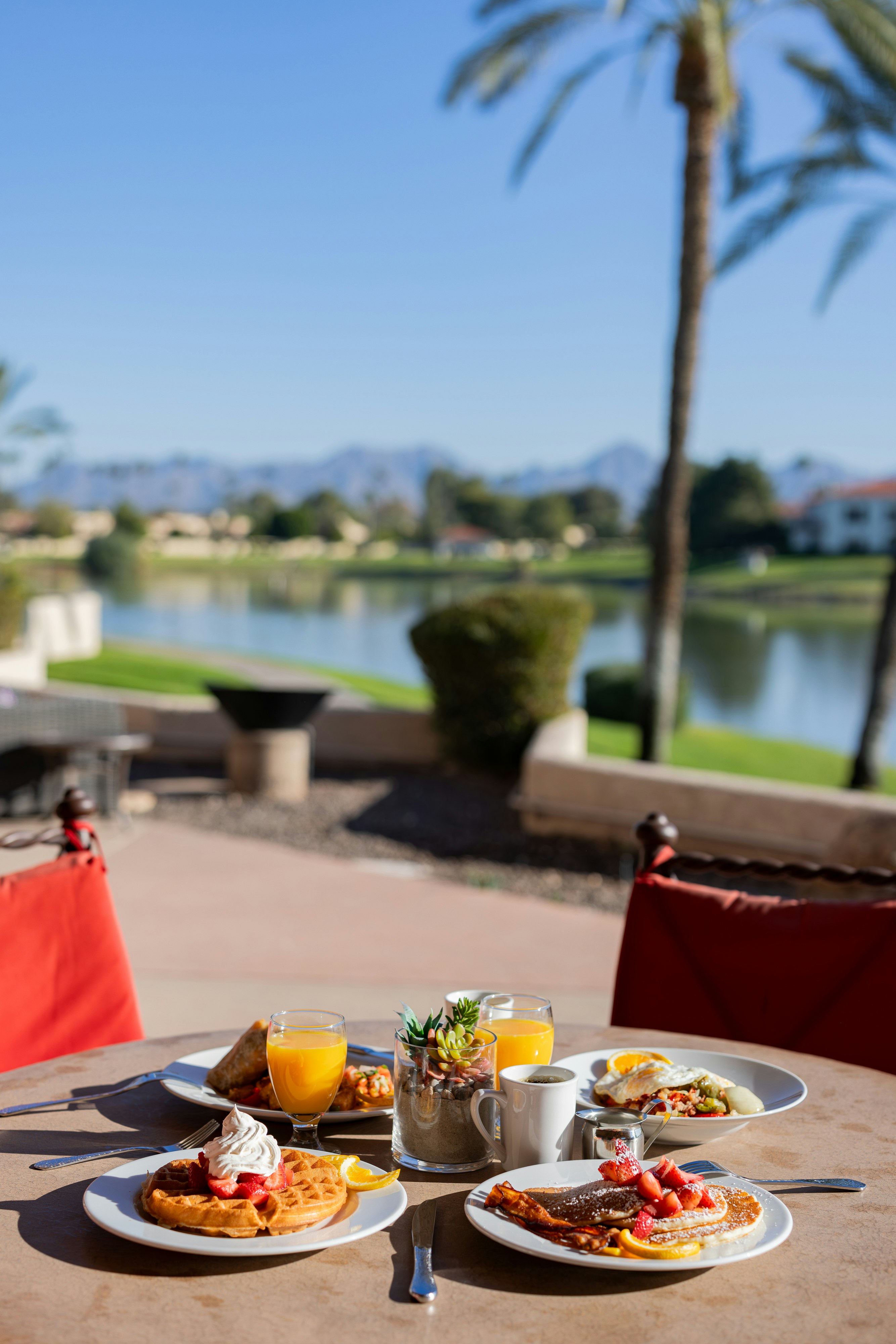 The McCormick Scottsdale 58/90