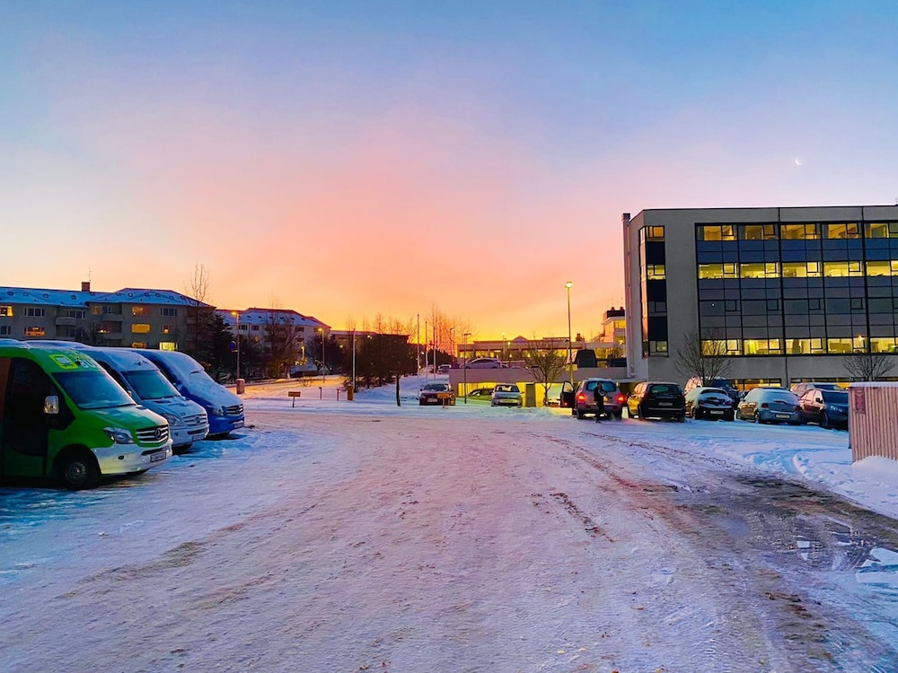 Bus Hostel Reykjavik 41/43