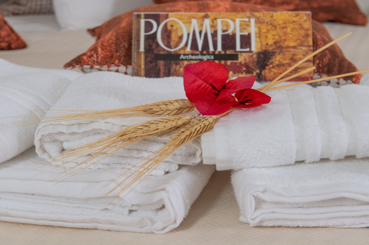 Core Amalfitano Pompeii City Suites 写真2