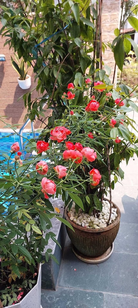 Hoi An Riverlife Homestay 60/64