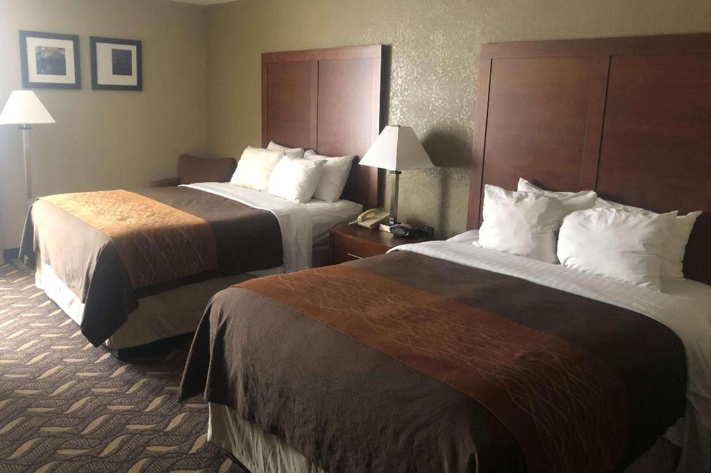 Suite, 2 Queen Beds
