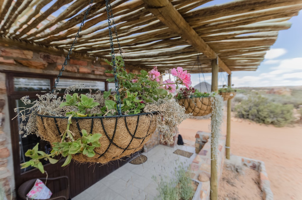 Kagga Kamma Nature Reserve 7/75