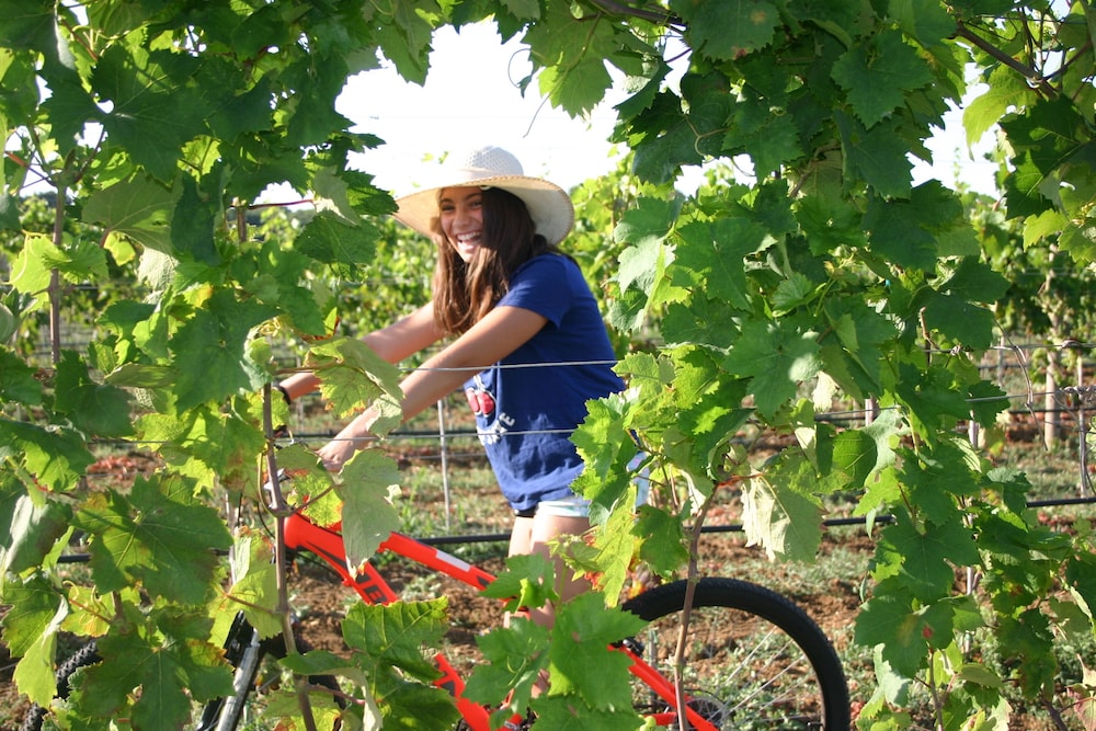Tenuta Vigna Corallo 43/50