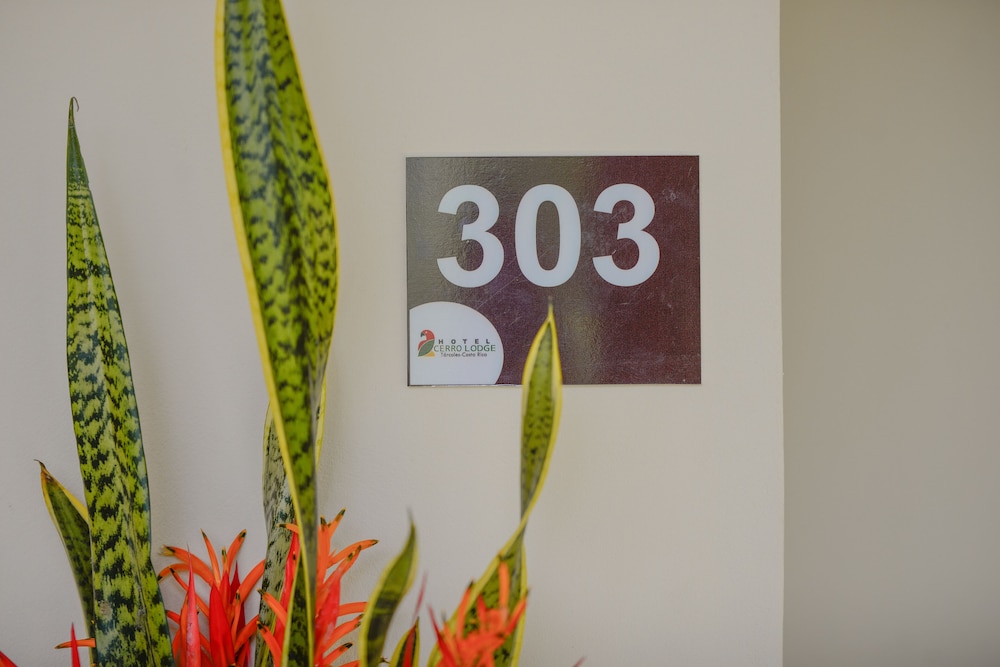 Hotel Cerro Lodge 14/50