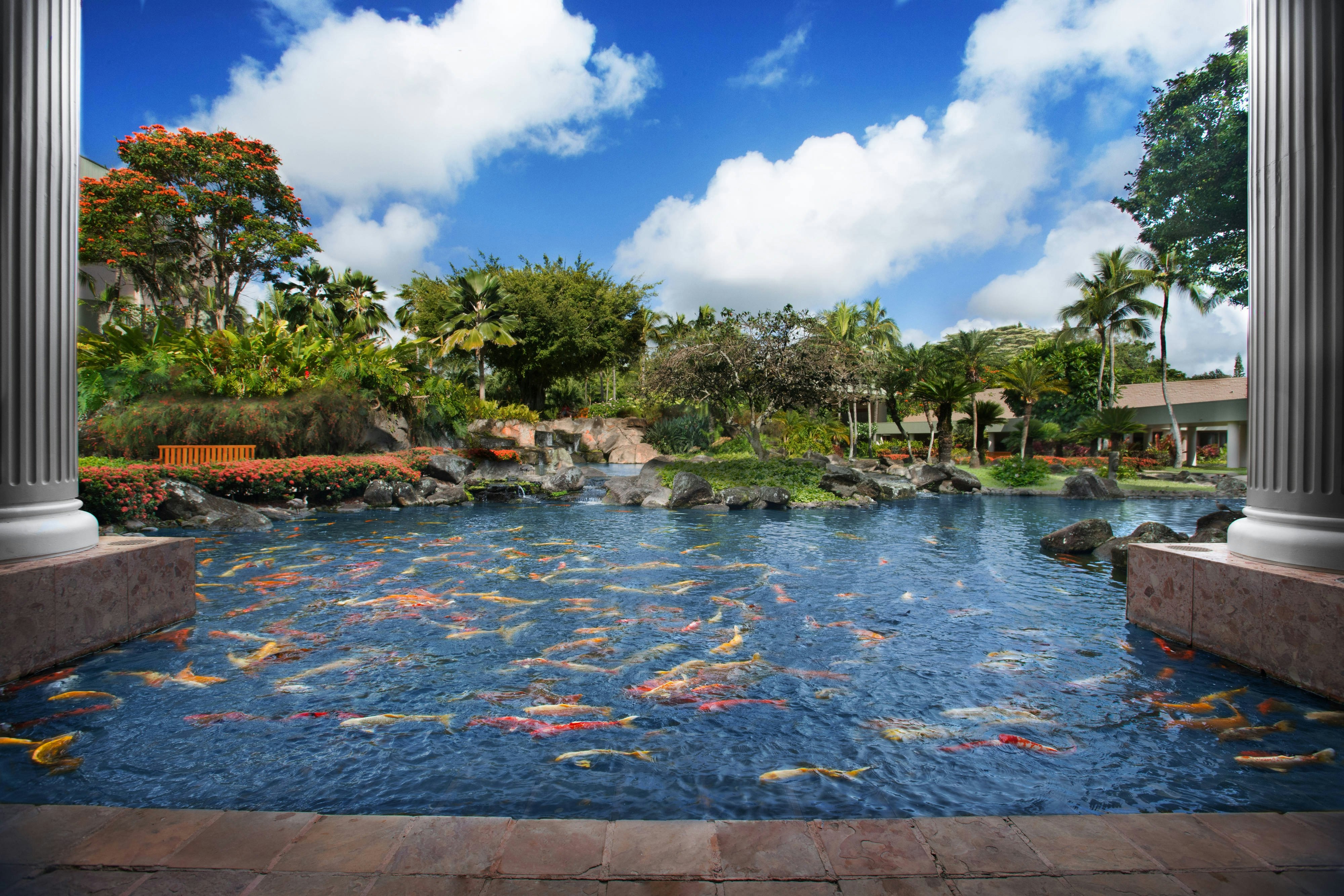 Marriott S Kaua I Beach Club 12/20
