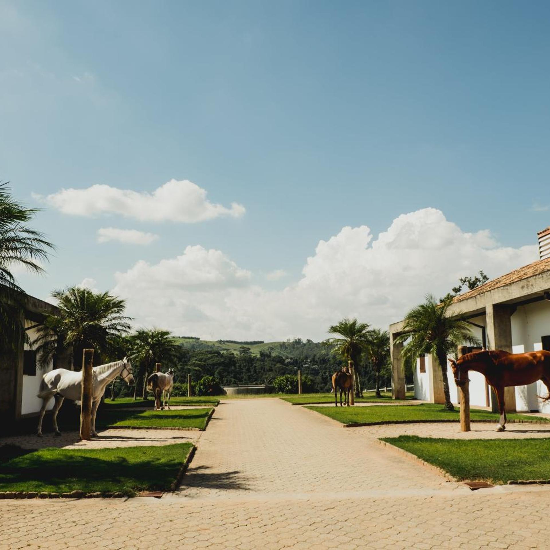 Hotel Historico Fazenda Dona Carolina 43/50