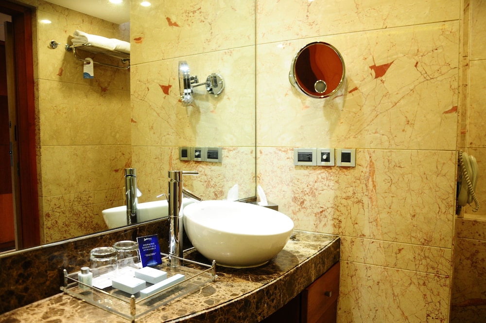 Radisson Blu Plaza Hotel Delhi Airport 41/76