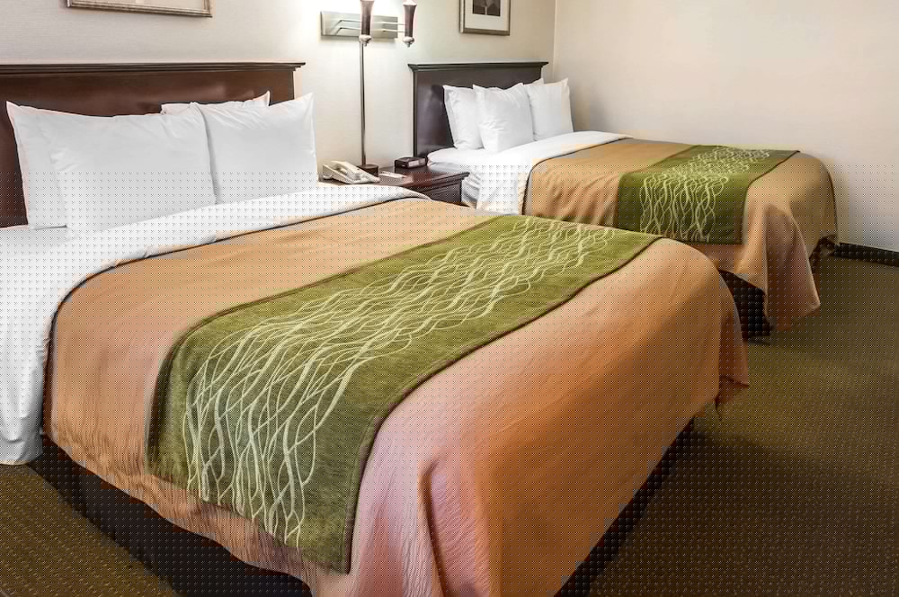 Comfort Inn Las Vegas New Mexico 18/50