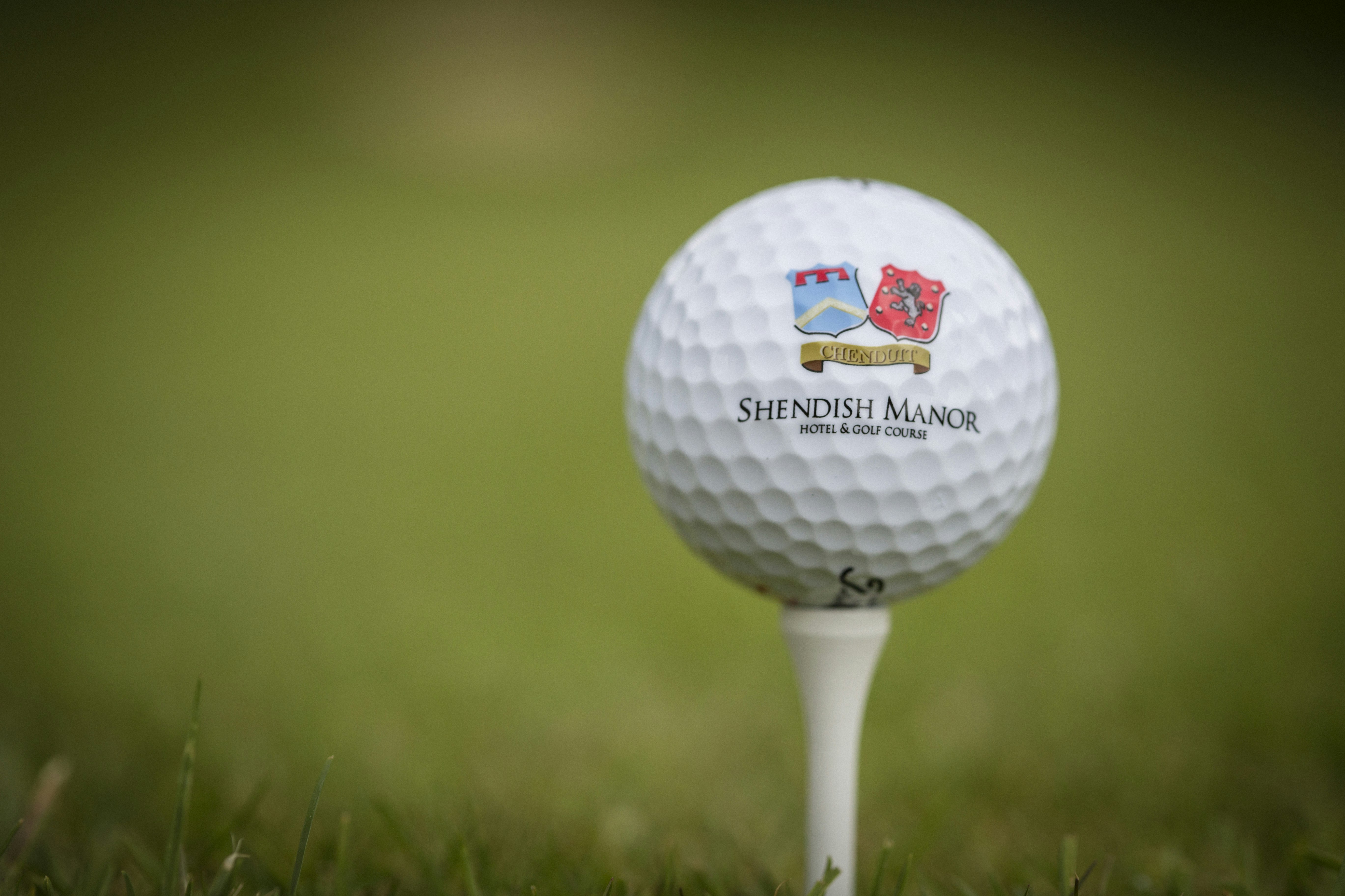 Shendish Manor Hotel & Golf Course 32/77