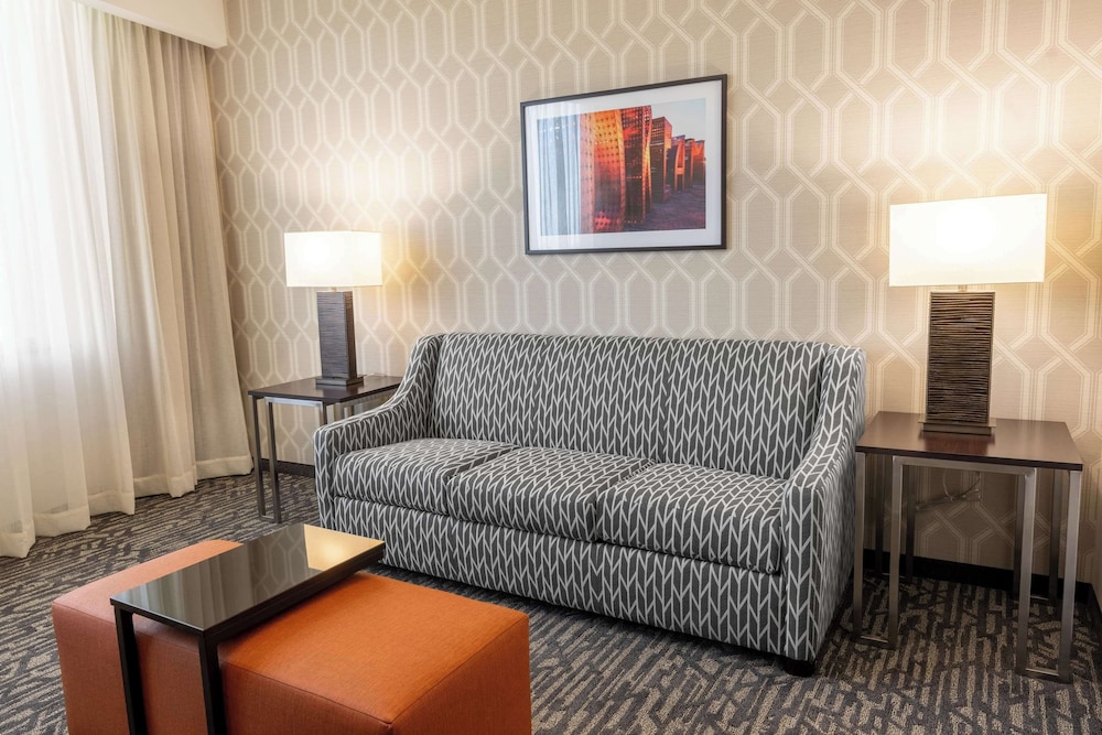 Drury Plaza Hotel Dallas Arlington 29/50