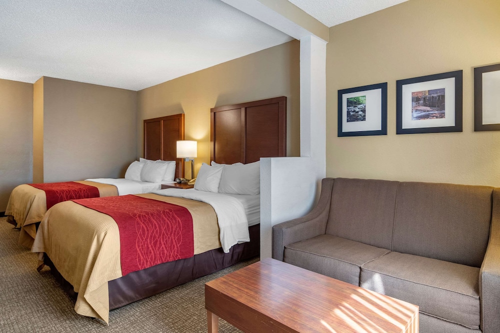 Comfort Inn Suites Suwanee Sugarloaf 10/36