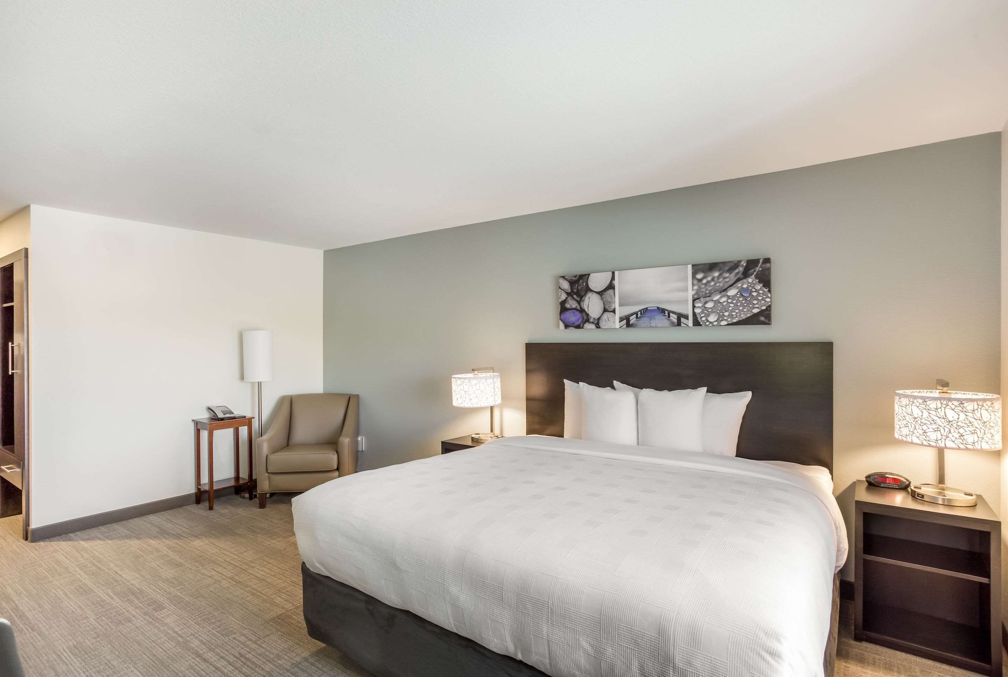 Suite, King Bed