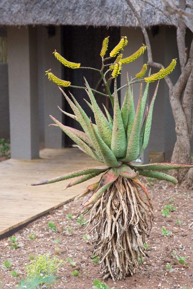 Unembeza Boutique Lodge Spa 36/50