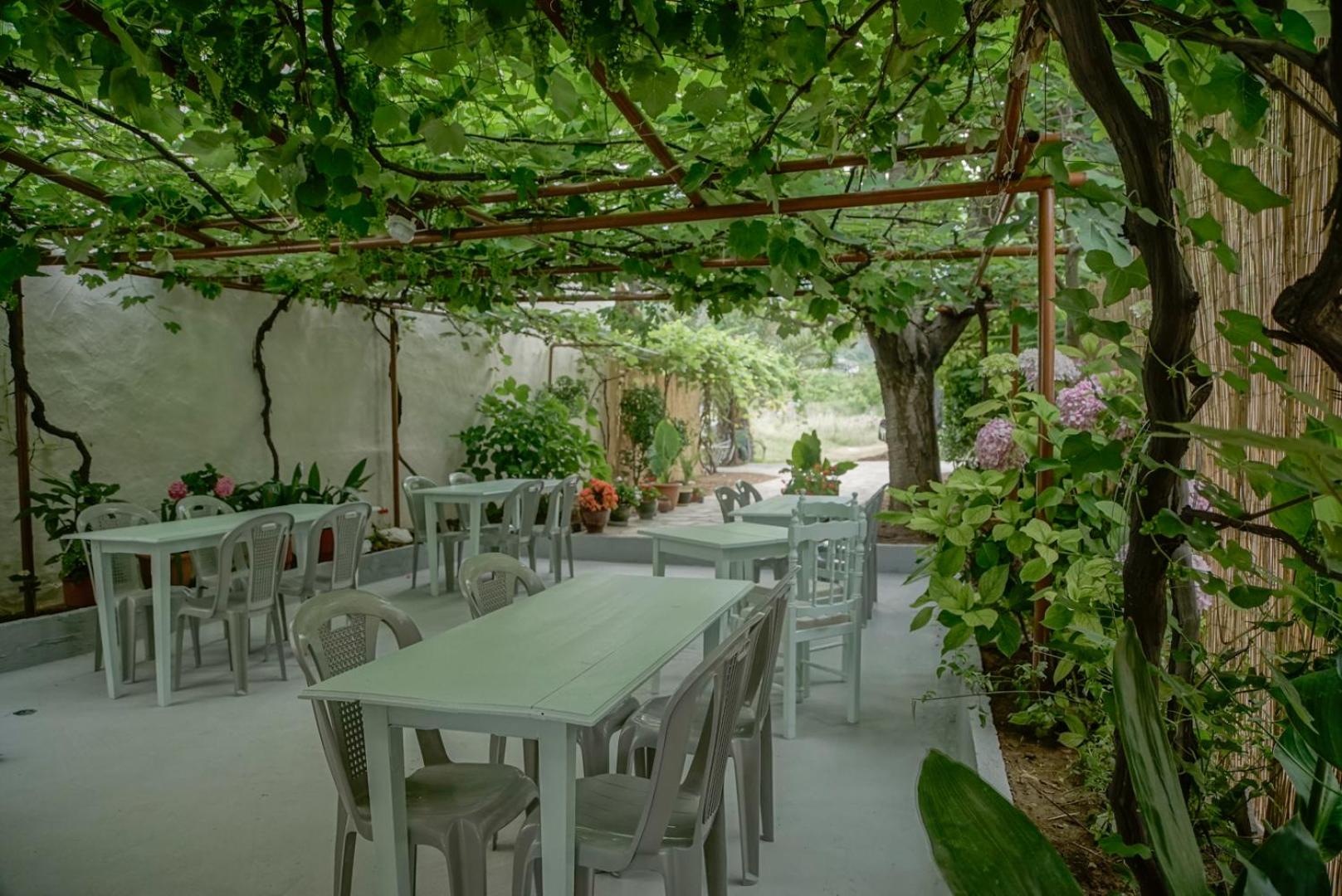 ANEMI BEACH HOTEL 46/65