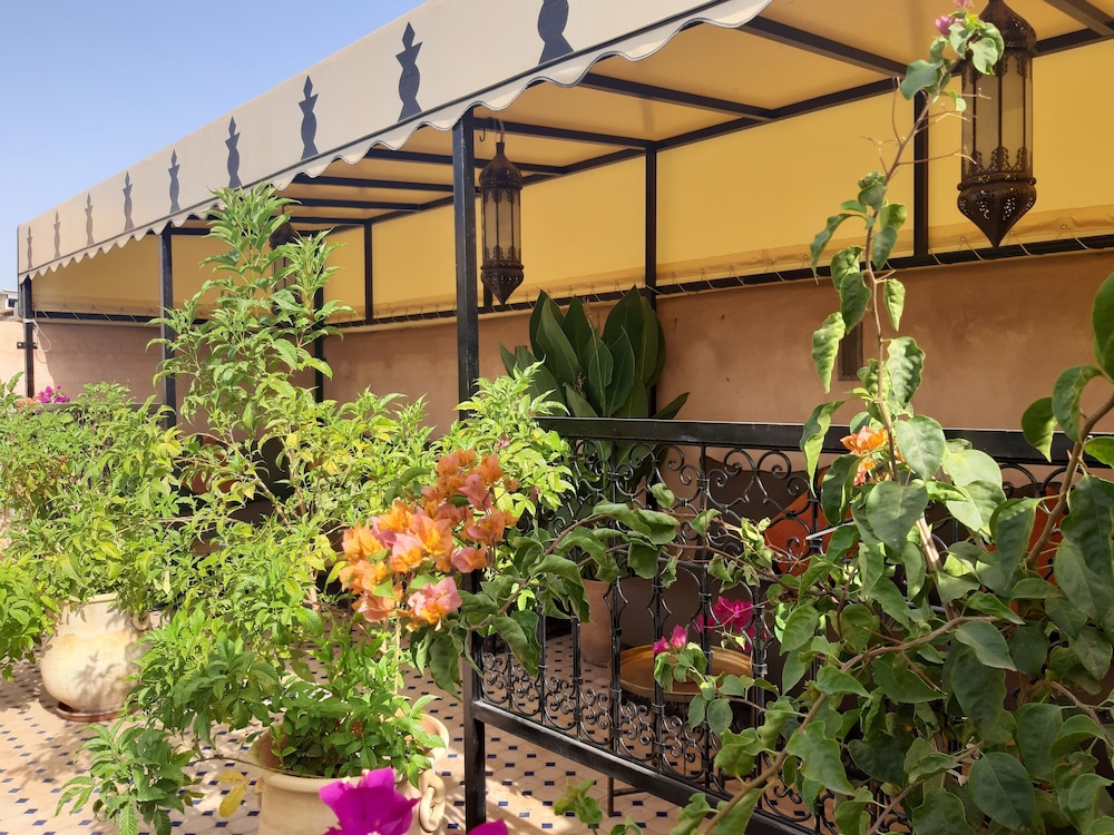 Riad Miral 2/50