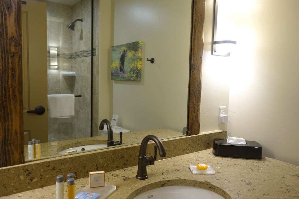 Glacier International Lodge 23/48
