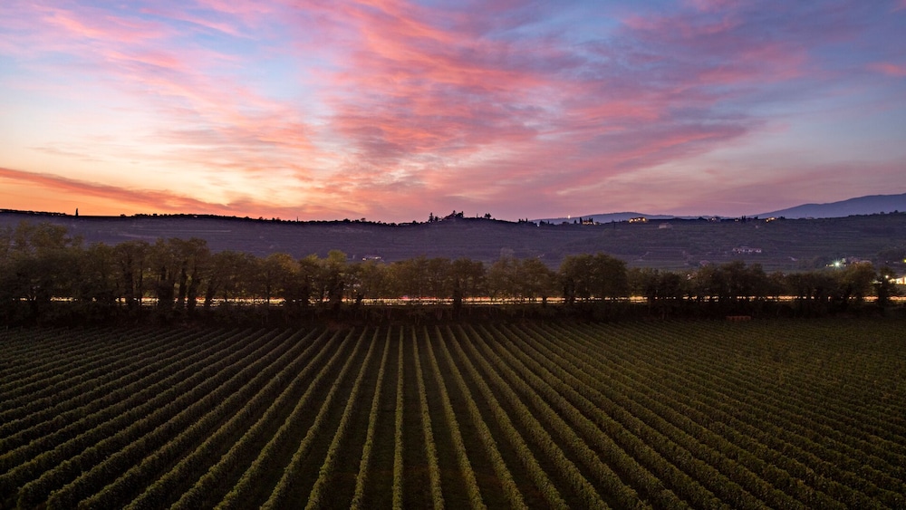 La Fonte Degli Dei Wine Relais - Adults Only 33/50