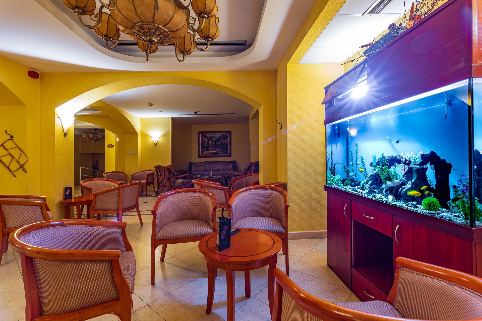 Hotel Bellevue (Bellevue Conference & Wellness Hotel) 29/38